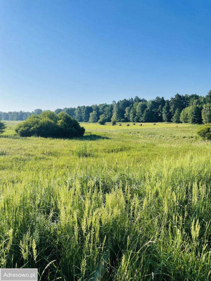 dom wolnostojący, 5 pokoi Orzesze, ul. Suszecka. Zdjęcie 7