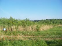 Działka rolna Budy Krępskie. Zdjęcie 2