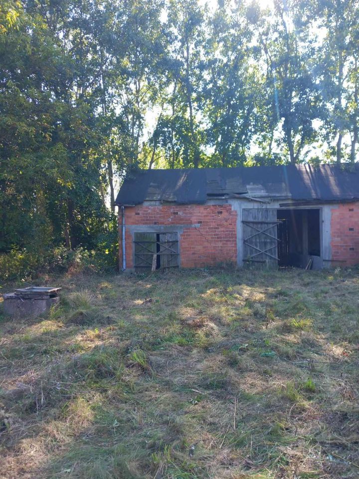 Działka rolno-budowlana Plecewice. Zdjęcie 7