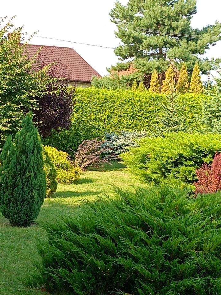 dom wolnostojący, 3 pokoje Wiktorowo. Zdjęcie 17