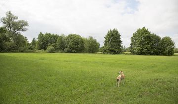 Działka siedliskowa Łady, Wola Ładowska
