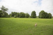 Działka siedliskowa Wola Ładowska