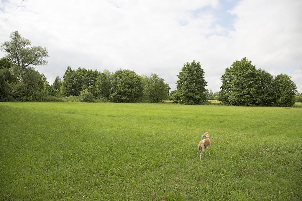 Działka siedliskowa Wola Ładowska