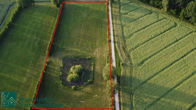 Działka rolna Wojciechy. Zdjęcie 3