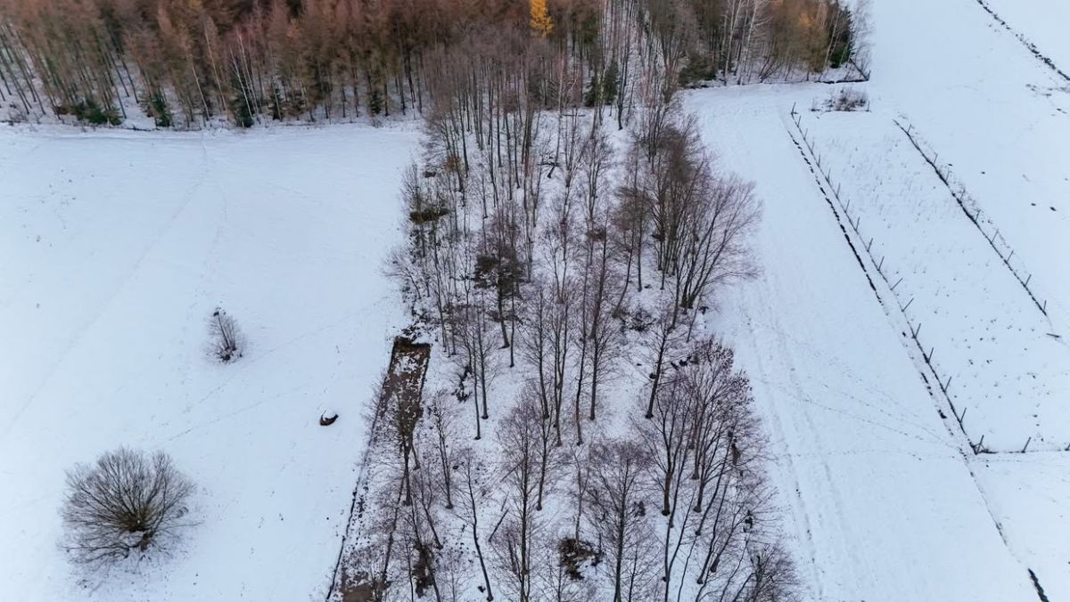 Działka budowlana Besko. Zdjęcie 10
