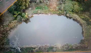 Działka rekreacyjna Borów Wielki