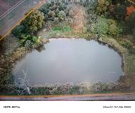 Działka rekreacyjna Borów Wielki. Zdjęcie 1