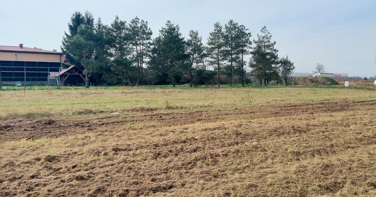 Działka budowlana Kunice. Zdjęcie 2