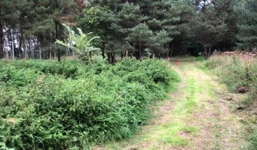 Działka rekreacyjna Chłopowo