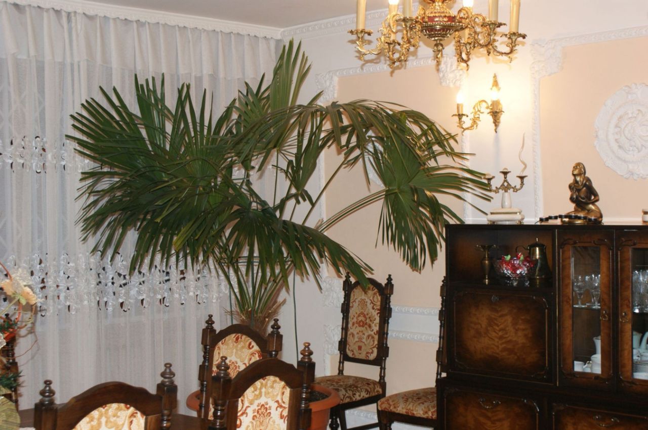 dom szeregowy, 6 pokoi Radom Idalin, ul. Diamentowa. Zdjęcie 8