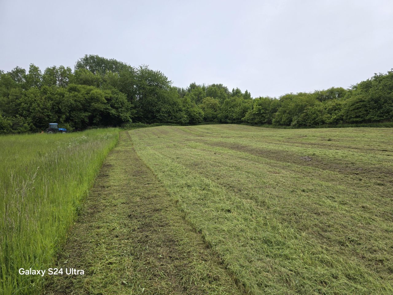 Działka rolno-budowlana Nowy Kamień. Zdjęcie 9