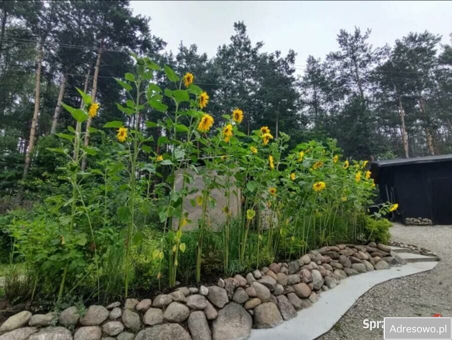 dom wolnostojący, 4 pokoje Zakącie. Zdjęcie 7