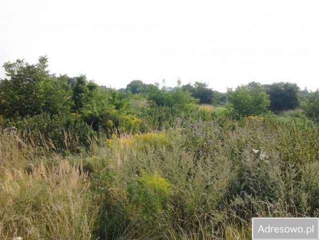 Działka rolna Przemyśl. Zdjęcie 1