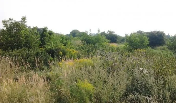 Działka rolna Przemyśl