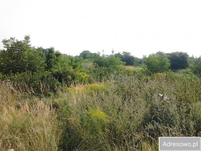 Działka rolna Przemyśl. Zdjęcie 1