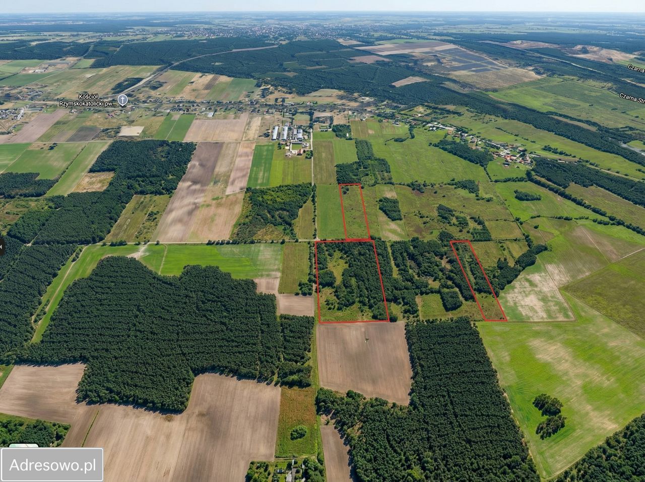 Działka rolna Studzieniec. Zdjęcie 1