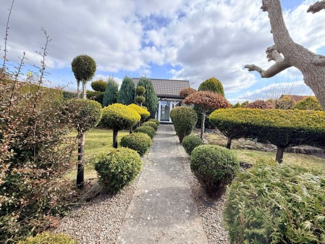 Działka rod Człuchów. Zdjęcie 1