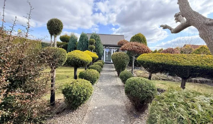 Działka rod Człuchów