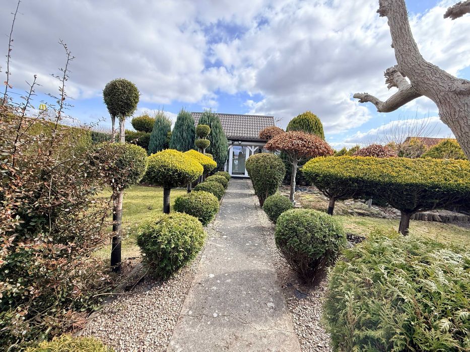 Działka rod Człuchów. Zdjęcie 1