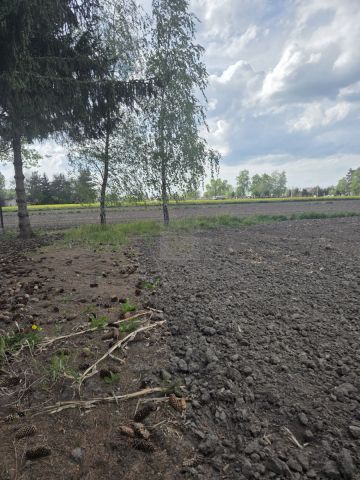 Działka rolna Nowa Sucha. Zdjęcie 5