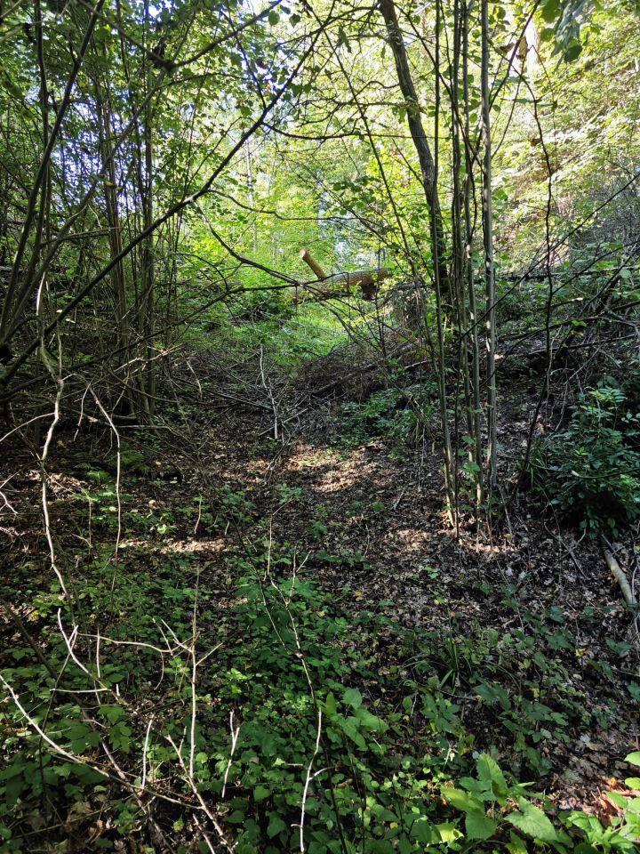 Działka rolno-budowlana Święcany. Zdjęcie 27