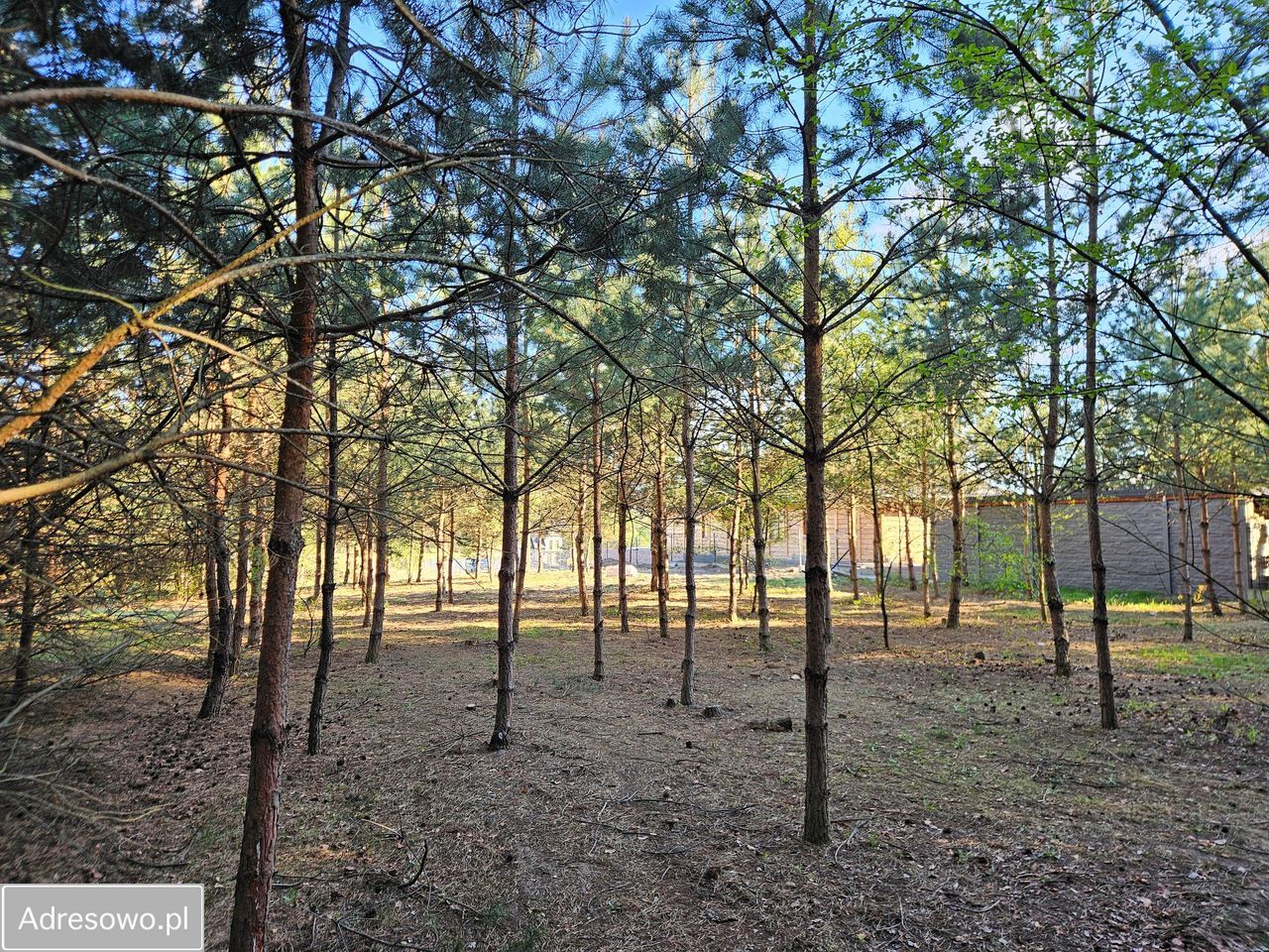 Działka budowlana Tomaszów Mazowiecki Podoba, ul. Torowa. Zdjęcie 7