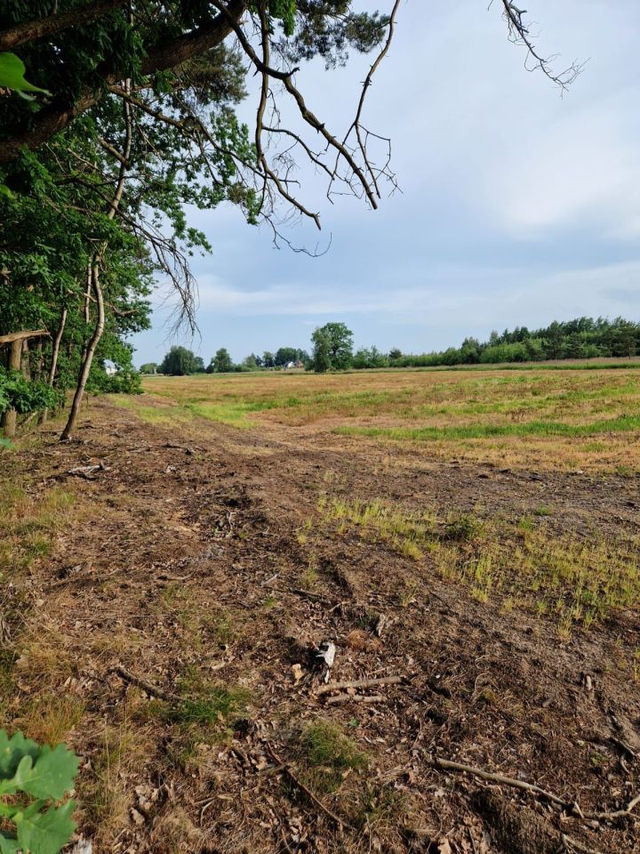 Działka rolno-budowlana Martynów. Zdjęcie 6