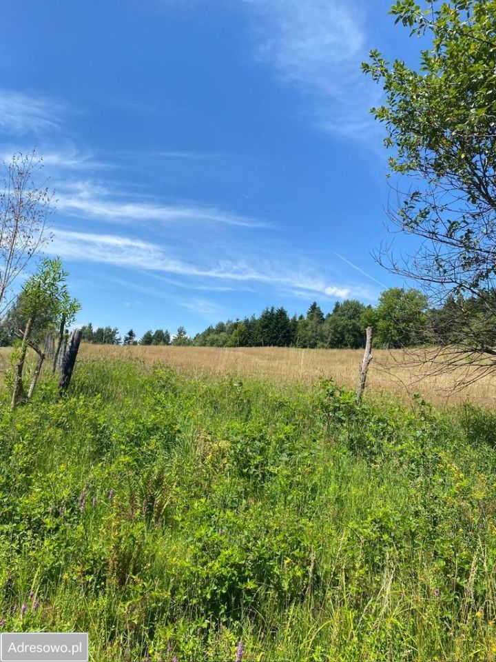 Działka rolna Ropienka. Zdjęcie 4