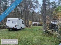 Działka leśna Elżbietowo. Zdjęcie 4