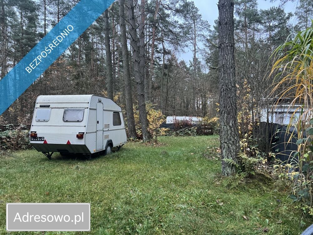 Działka leśna Elżbietowo. Zdjęcie 5