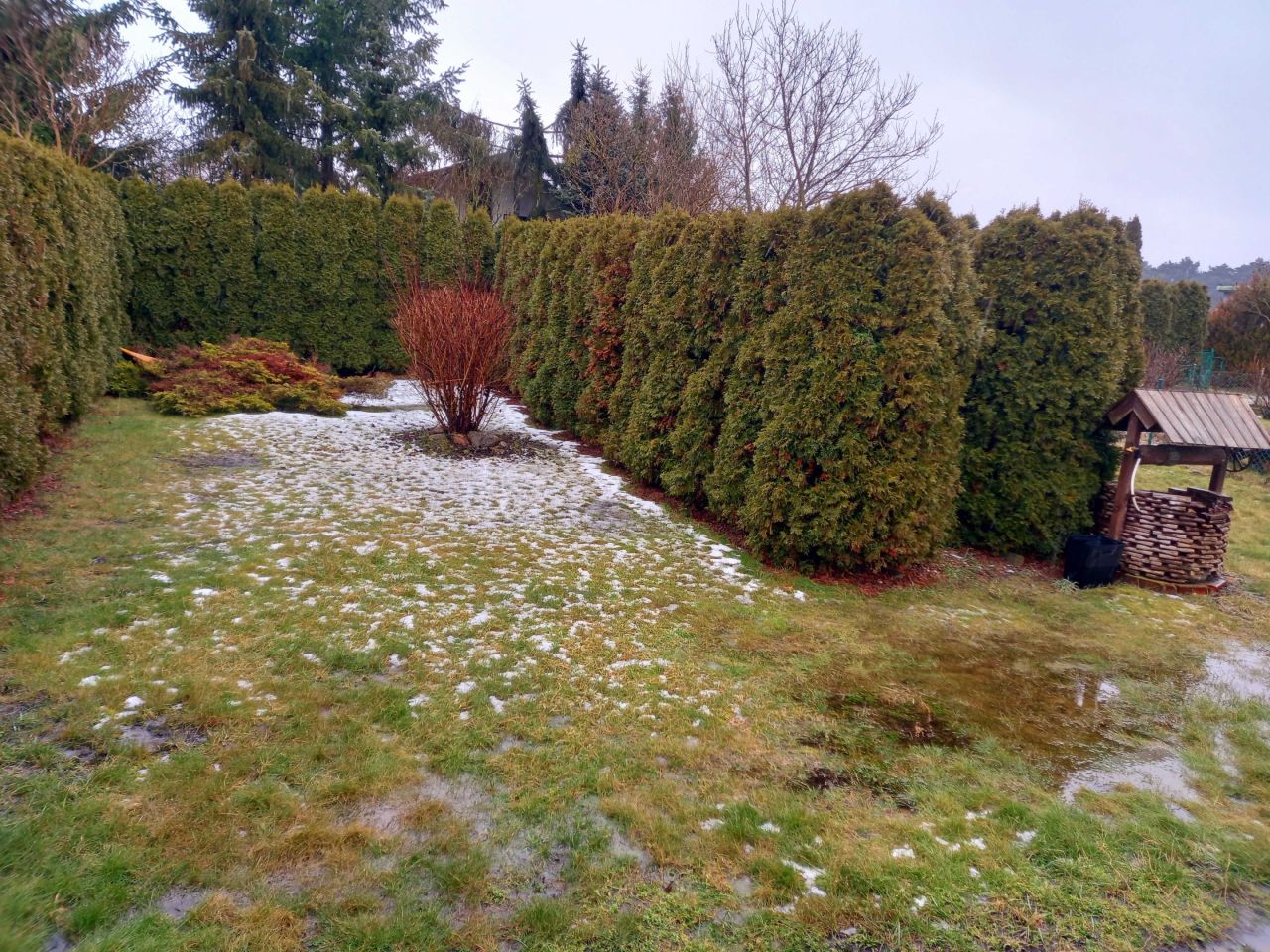 Działka rod Szubin. Zdjęcie 3