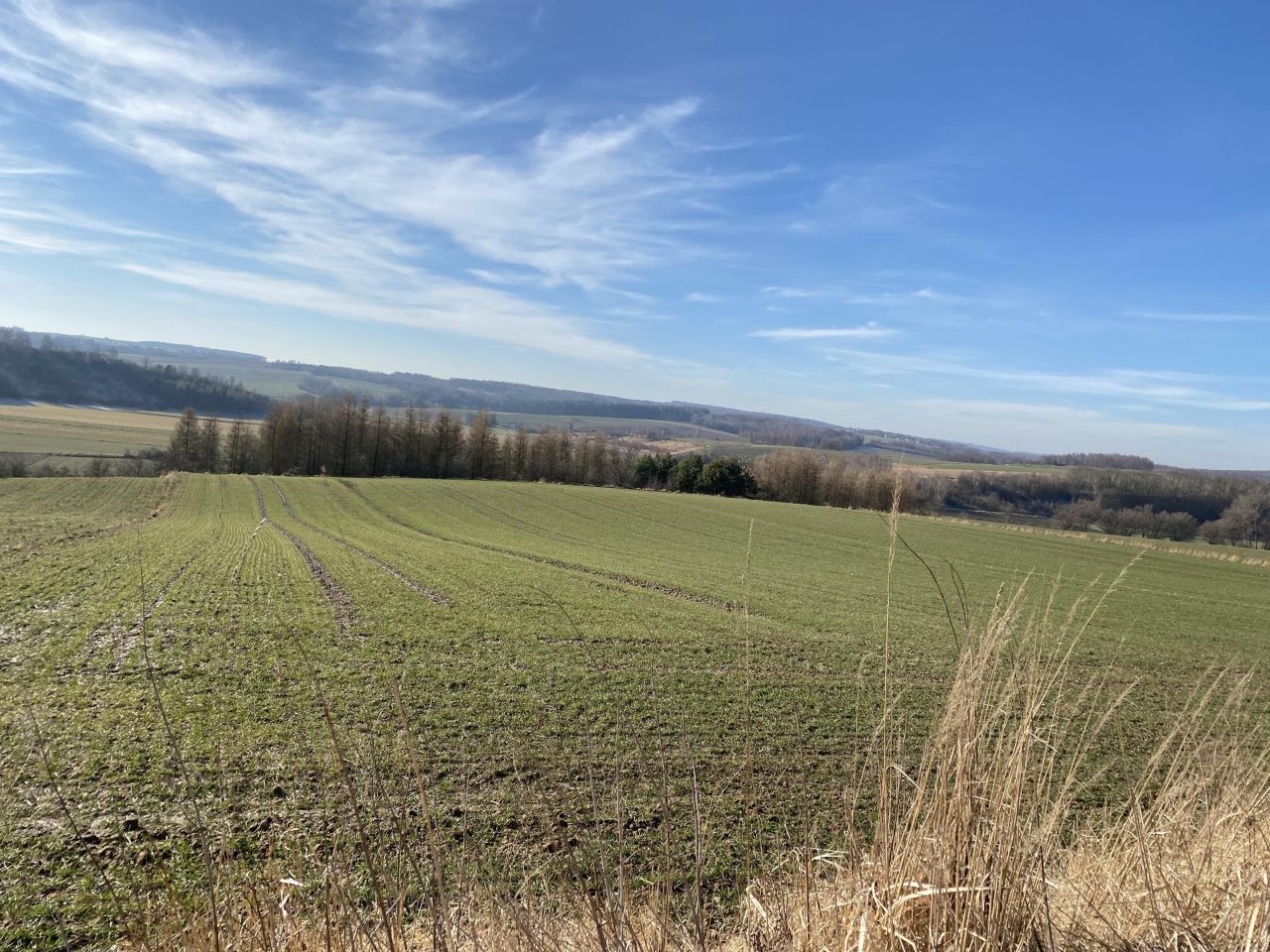 Działka rolna Częstoszowice. Zdjęcie 4