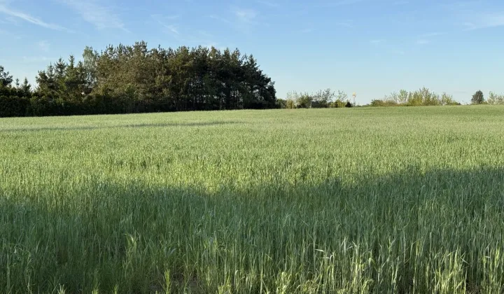 Działka rolna Modła