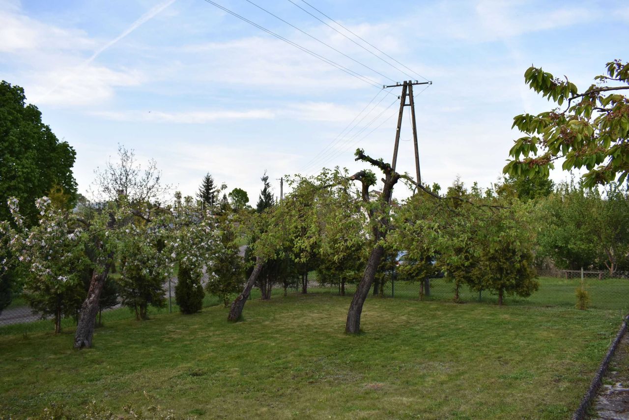 Działka rod Gniezno, ul. Powstańców Wlkp.. Zdjęcie 5