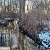 Działka budowlana Dyszów, ul. Bolesława Prusa. Zdjęcie 3
