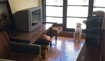 dom wolnostojący Radomsko, ul. Stodolna