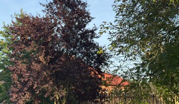 siedlisko Rzeniszów