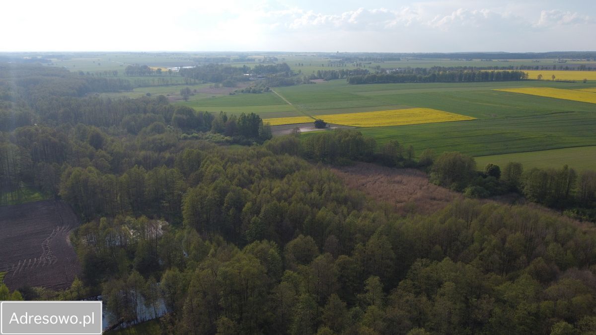 Działka rolno-budowlana Lubiska-Kolonia. Zdjęcie 7