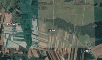 Działka rolna Lipniki