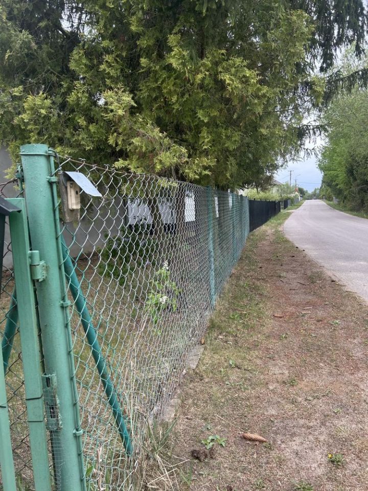 Działka budowlana Ciepielin. Zdjęcie 4