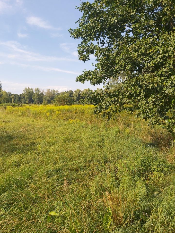 Działka budowlana Stare Budy, ul. Tartakowa. Zdjęcie 5
