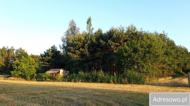 Działka budowlana Anielin Swędowski, ul. Wypoczynkowa. Zdjęcie 1