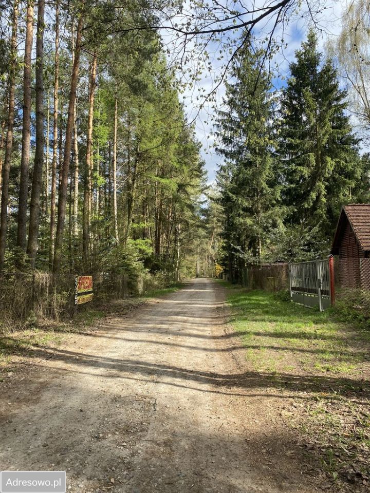 Działka budowlana Rokitnica. Zdjęcie 5