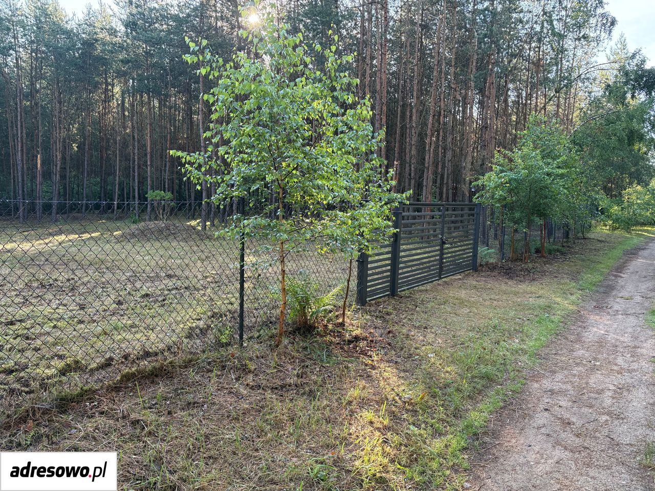 Działka Adamowo