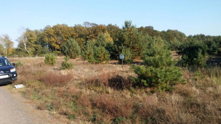 Działka budowlana Chwałowice