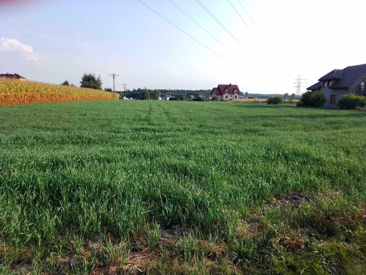 Działka budowlana Orzesze Mościska, ul. Masztowa