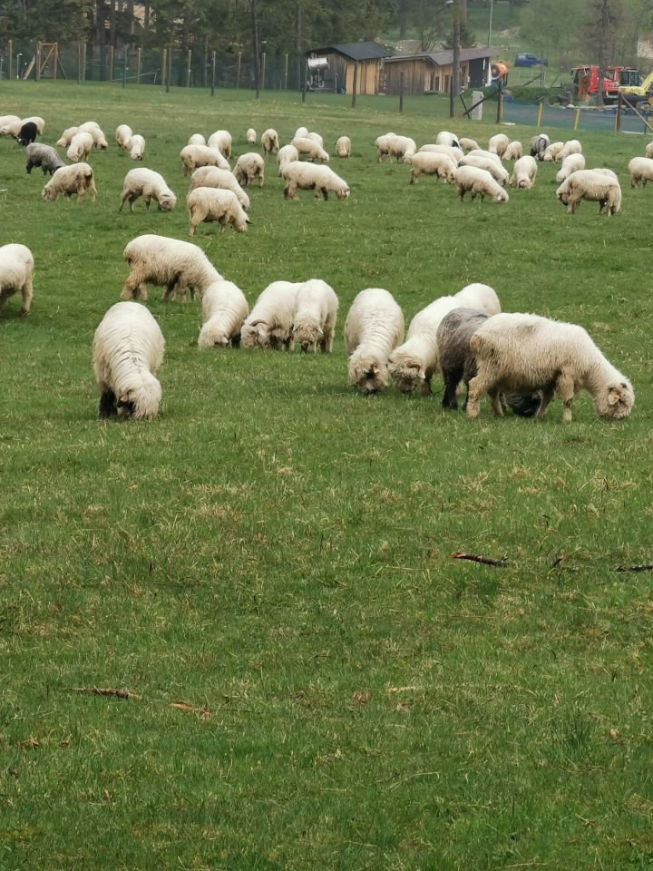 Mieszkanie 2-pokojowe Zakopane Toporowa Cyrla, ul. Cyrhla. Zdjęcie 23