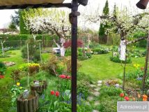 Działka rod Gliwice. Zdjęcie 4