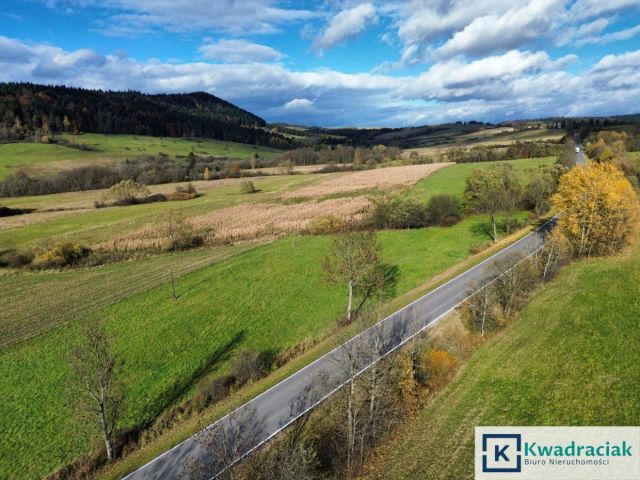 Działka rolna Daliowa. Zdjęcie 11