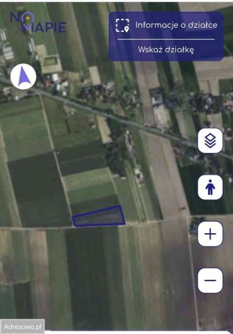 Działka rolna Kamienna-Kolonia. Zdjęcie 1